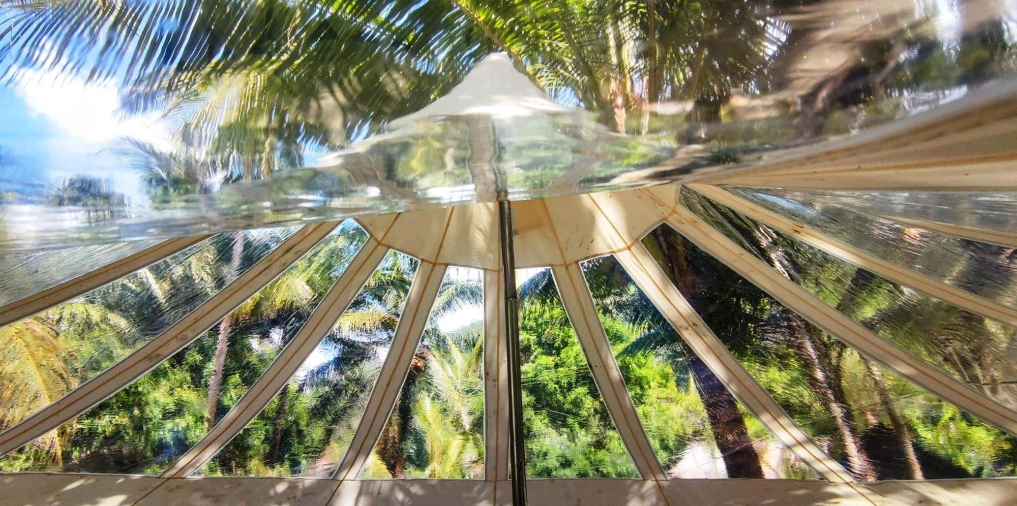 New Busuanga Firesky Glamping Ocam Ocam Beach מראה חיצוני תמונה